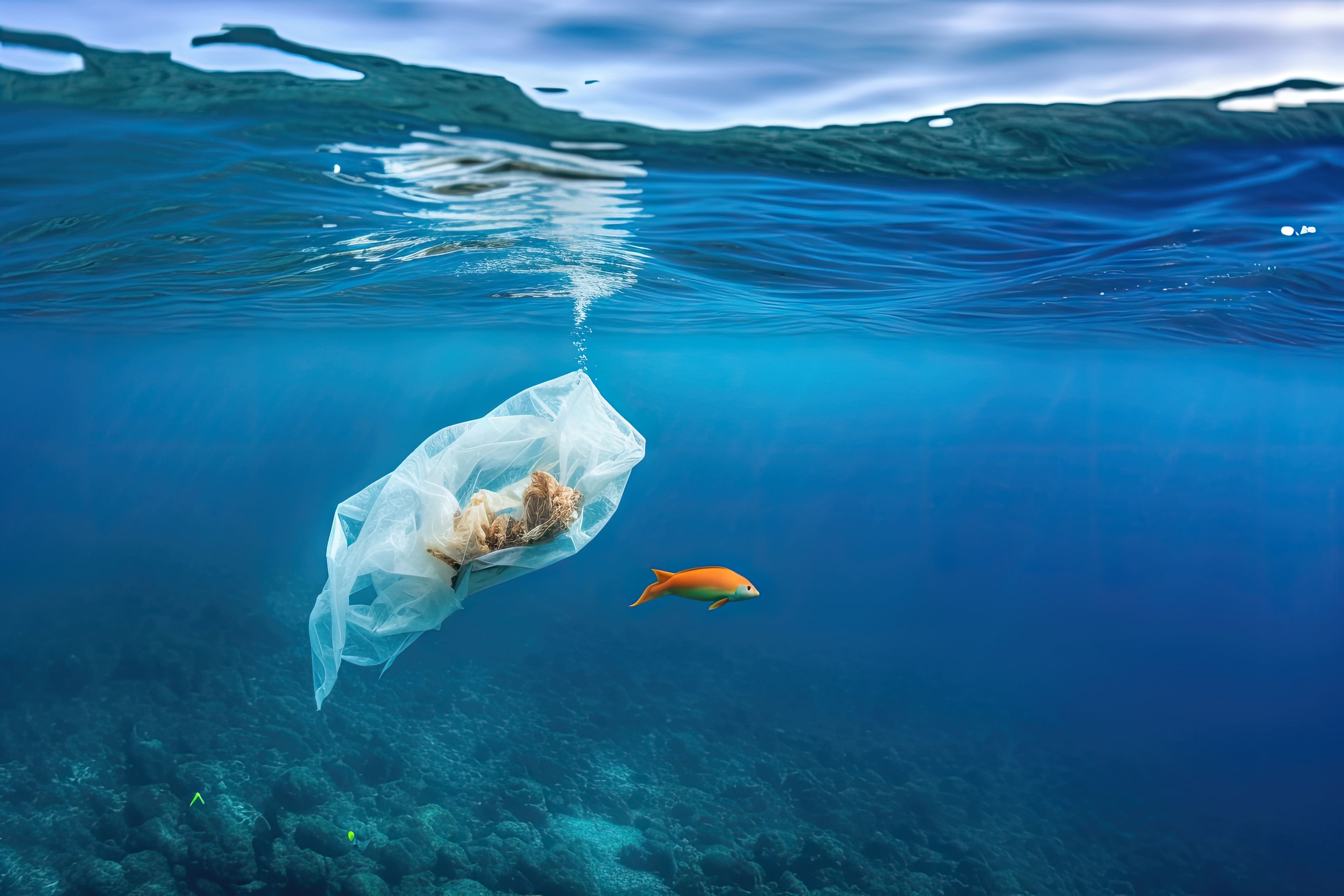 Cemaran Mikroplastik di Lautan, dari Daratan Kembali Ke Meja Makan