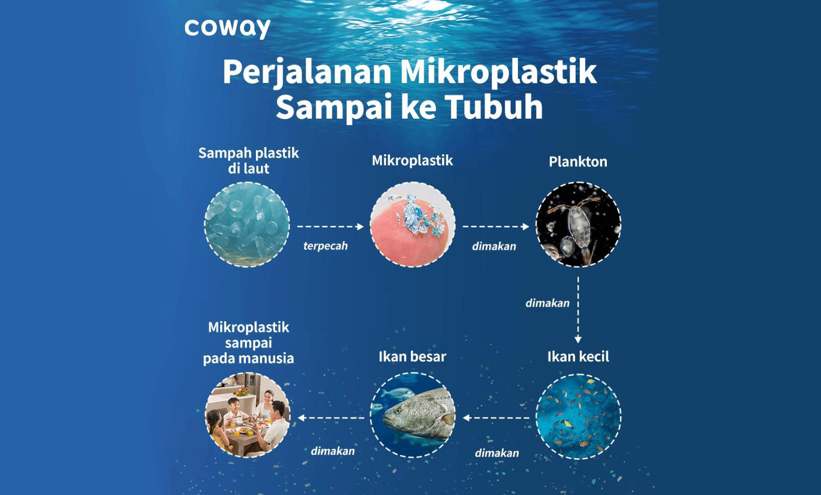 Lindungi Alam, Berikut 5 Langkah Mudah untuk Kurangi Mikroplastik